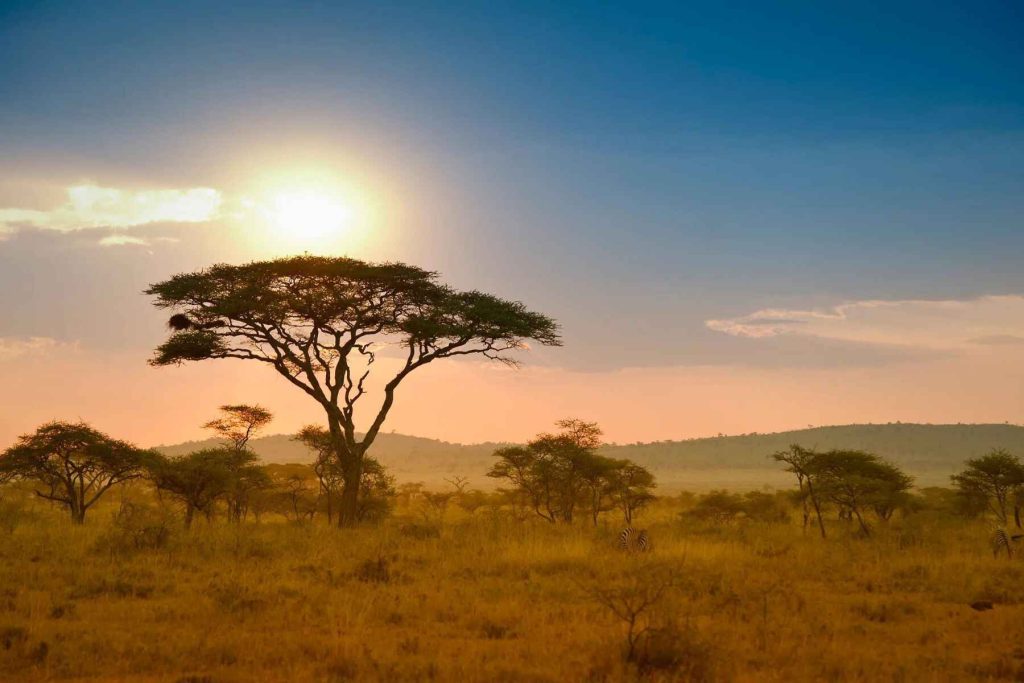 sunset-kenya-safari-east-africa.jpeg
