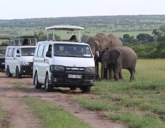 Responsible Safari Adventures