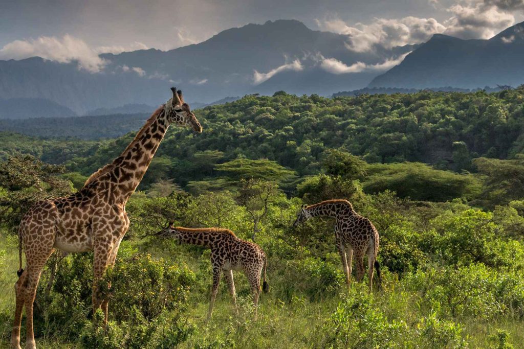Arusha-National-Park-1-1024x683