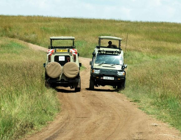 Unparalleled Private Safari Experiences