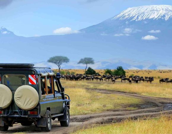 When is the Best Time to Go on Safari in Kenya?