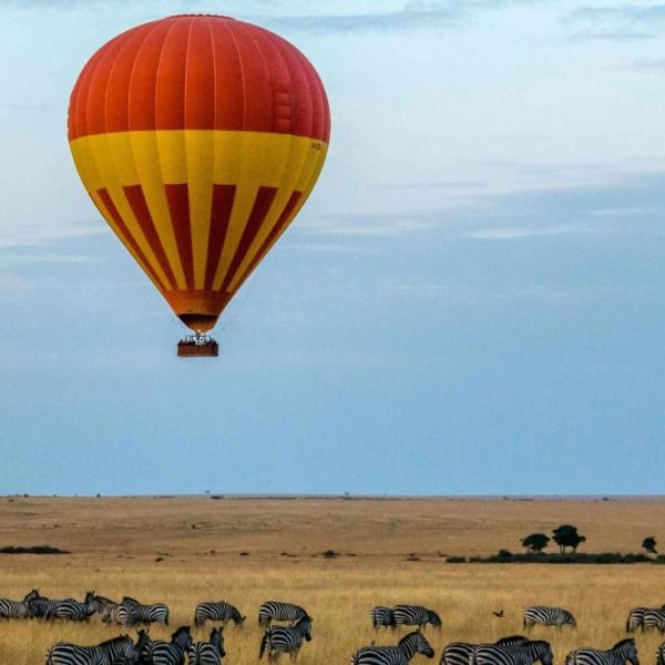 Captivating Kenya Safari Facts