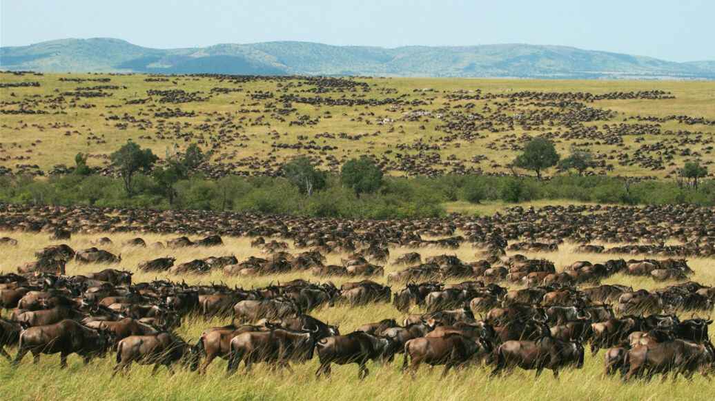 masai-mara-national-park