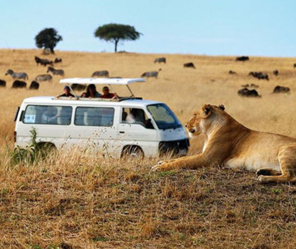 Masai Mara