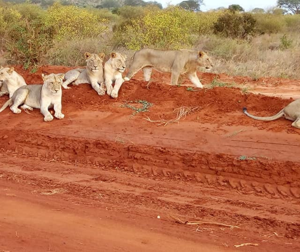 Tarangire National Park