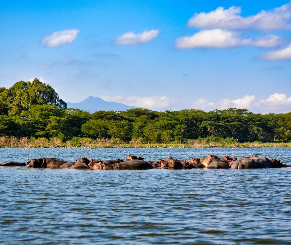 Nakuru National Park