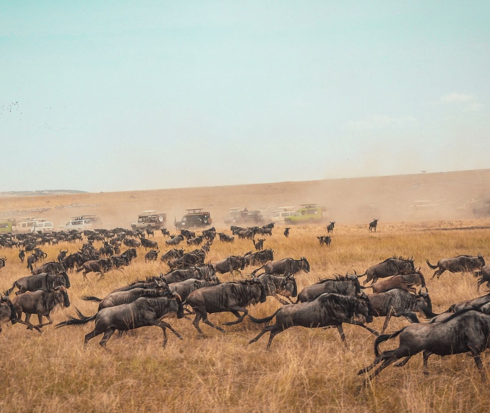 Masai Mara