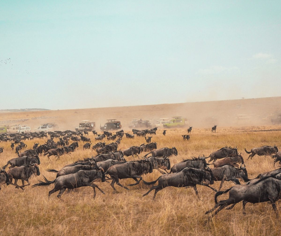 Serengeti National Park