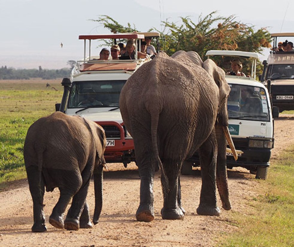 Amboseli