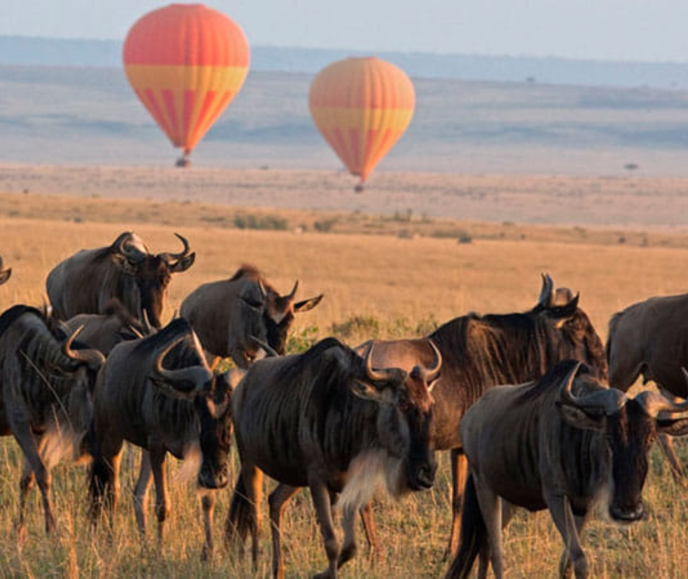 Masai Mara