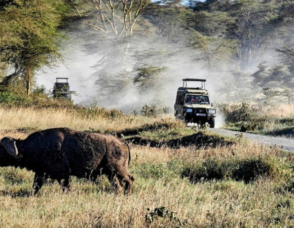 Exclusive Private Safari Experiences in Kenya