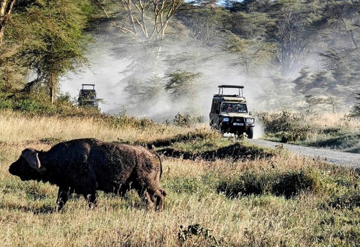 daylight-adventures-cruiser-at-a-safari