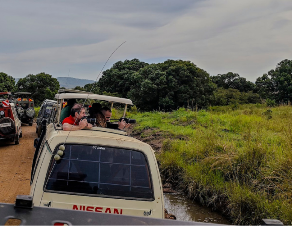 Best Times to Experience a Safari in Kenya
