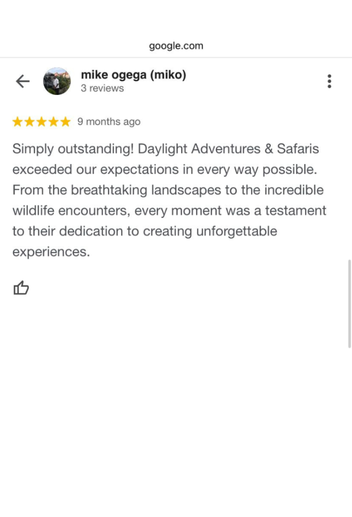 Daylight Adventures Positive Review 3