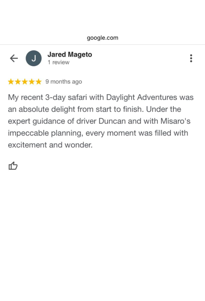 Daylight Adventures Positive Review 2