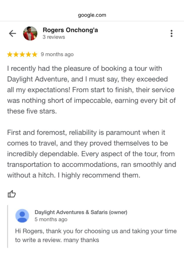 Daylight Adventures Positive Review 1