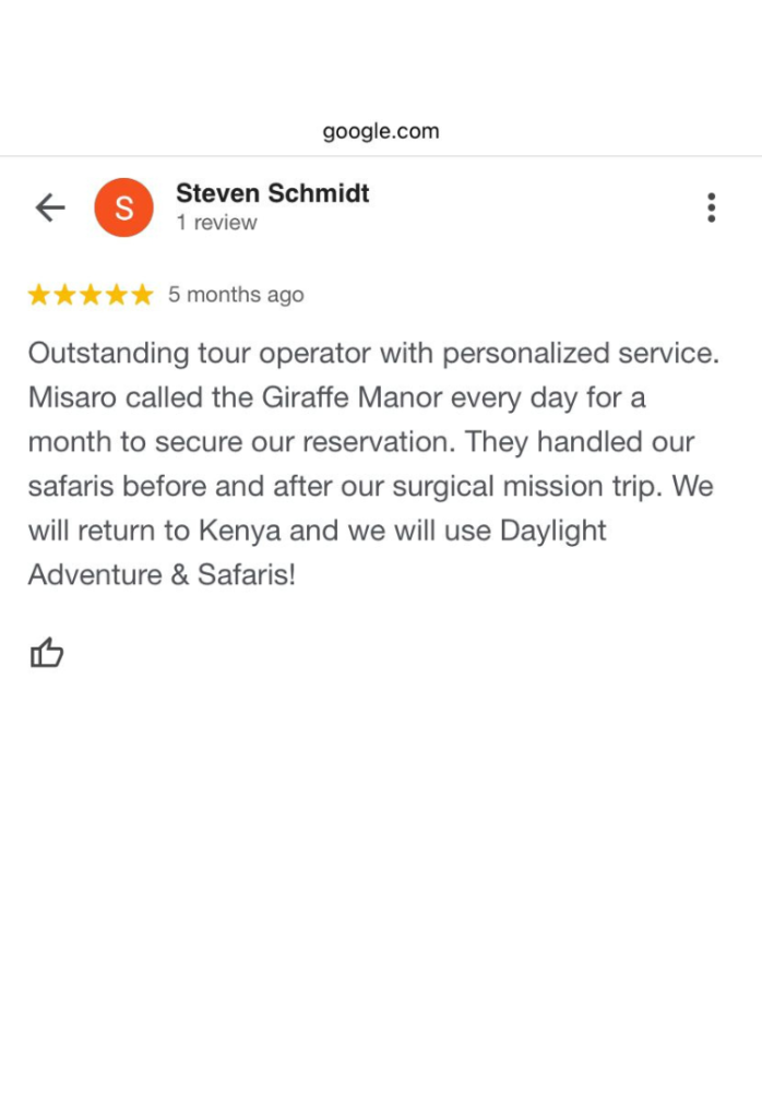 Daylight Adventures Positive Review 11