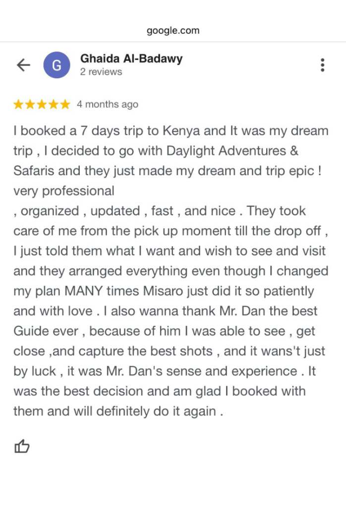 Daylight Adventures Positive Review 10