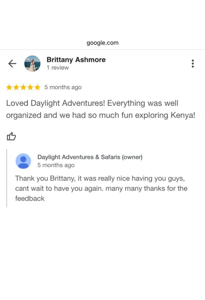 Daylight Adventures Positive Review 5