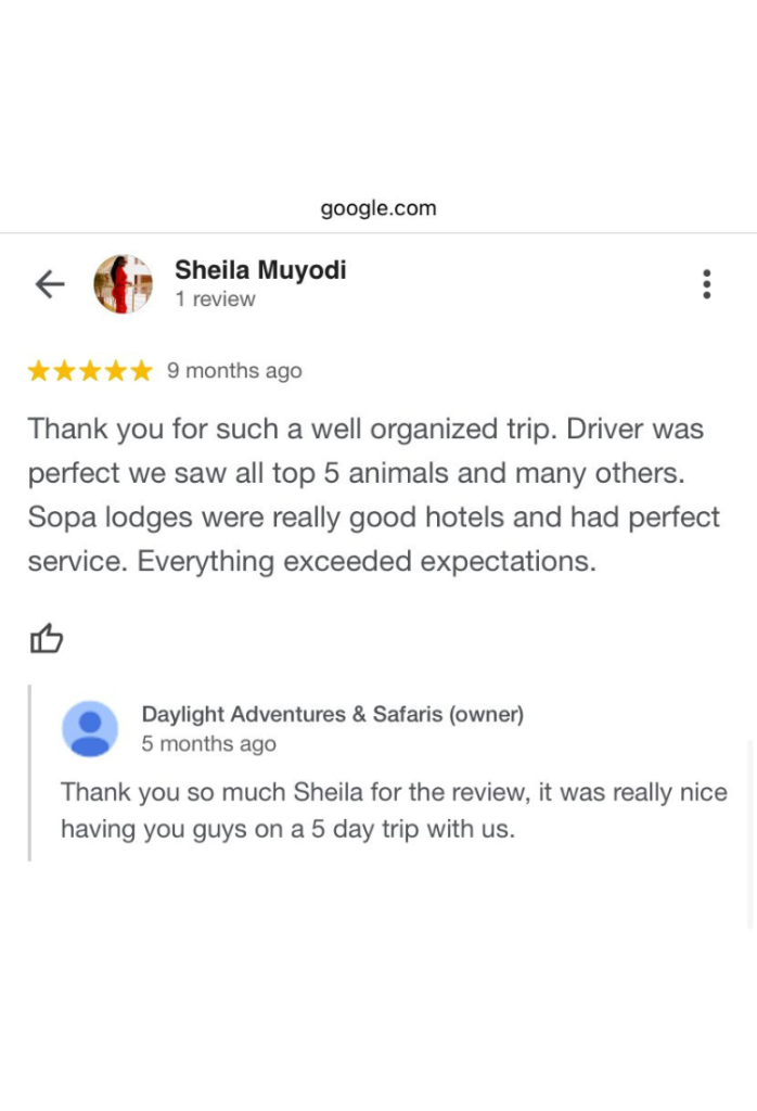 Daylight Adventures Positive Review 4