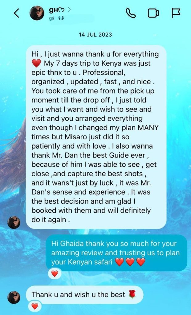 Daylight Adventures Positive Review