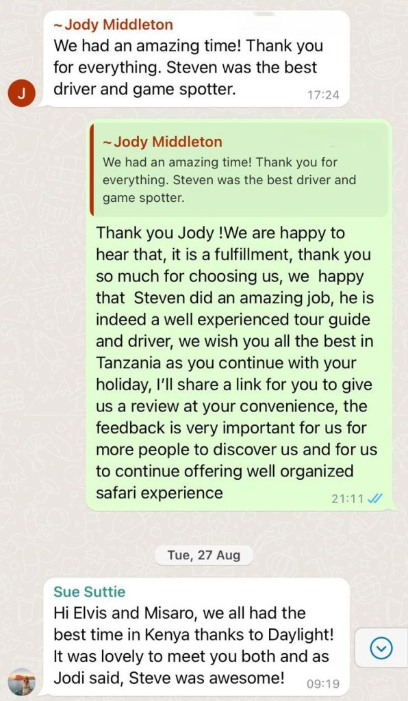 Daylight Adventures Positive Review