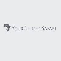 Your African Safari