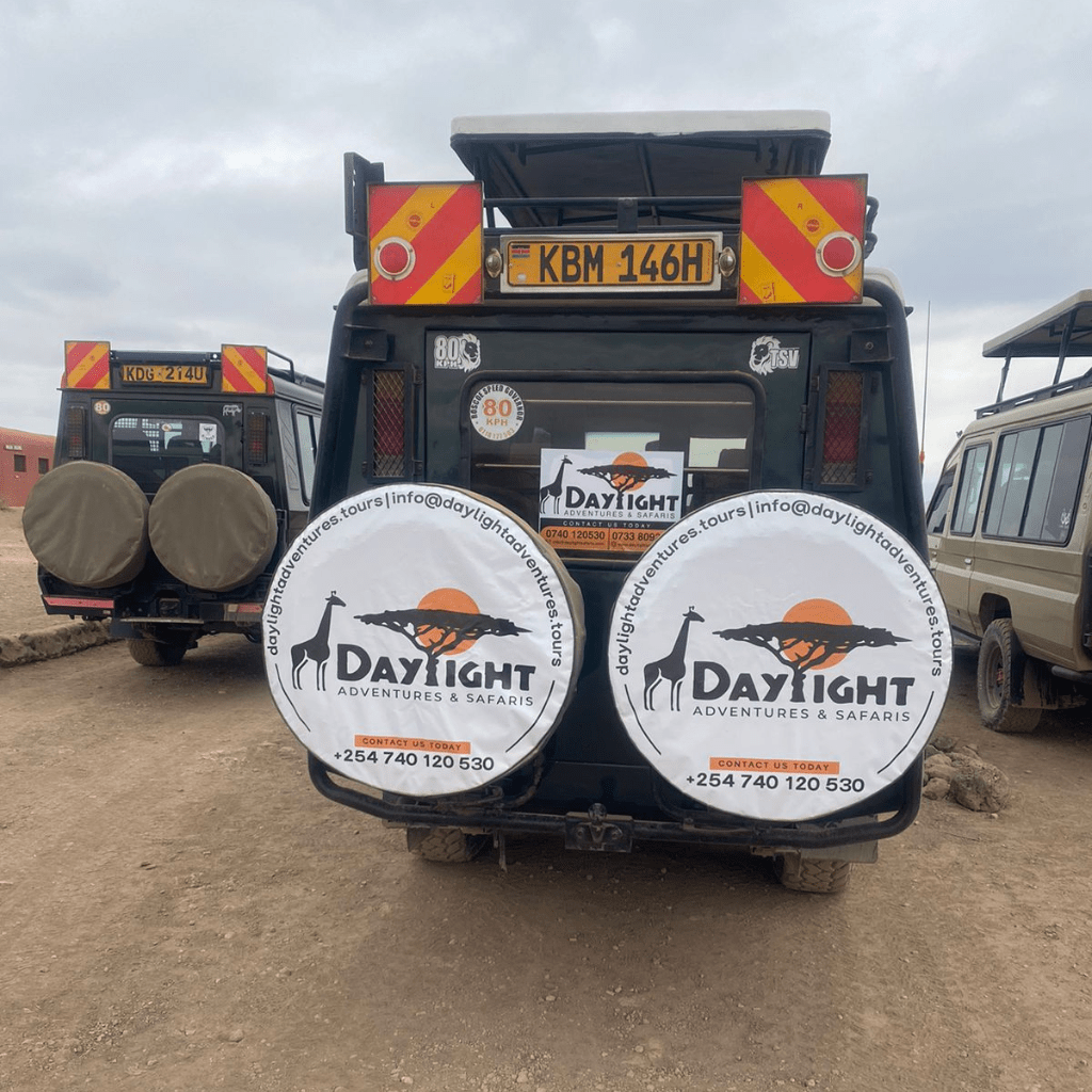 19 daylight adventures gallery-min