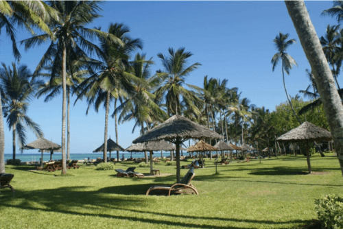 Beach Safaris- Daylight Adventures-min