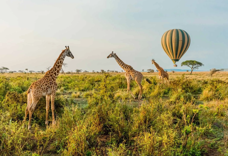 10 Reasons Why East Africa Should Be Your Next Destination