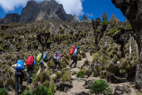 Mountain Treks- Daylight Adventures-min