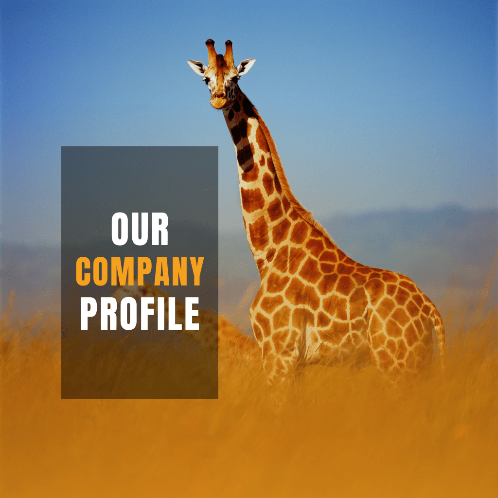 daylight-adventures-company-profile-2-min