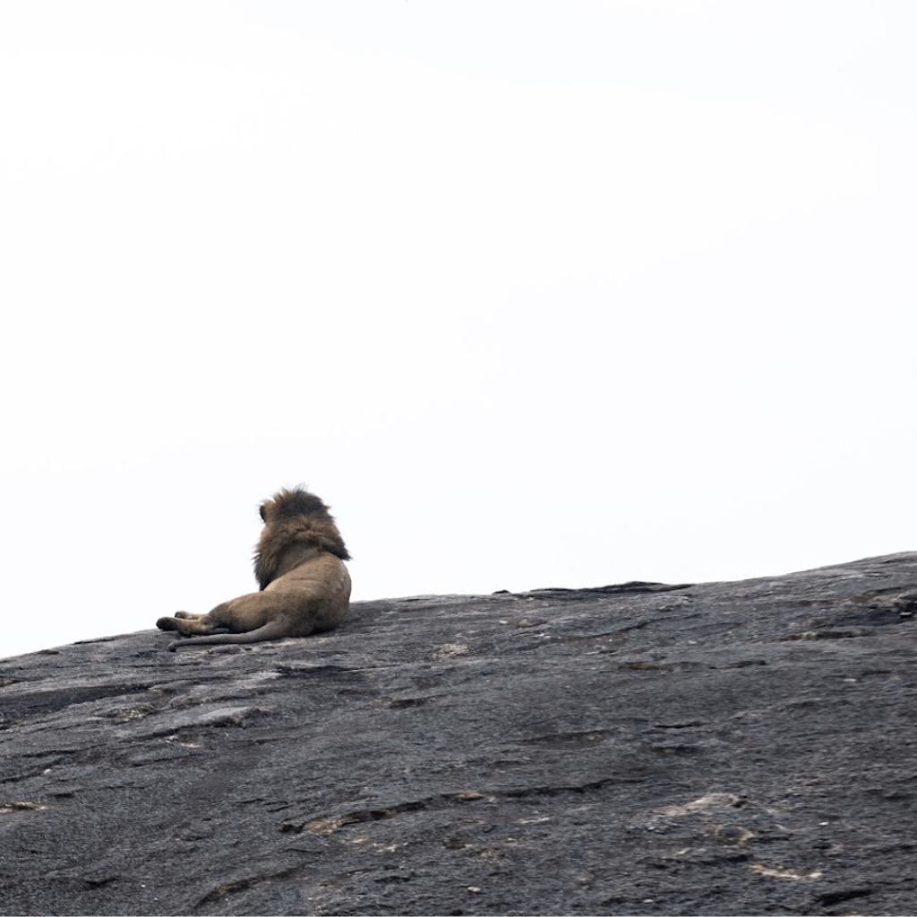 safaris-kenya-tours-6-min