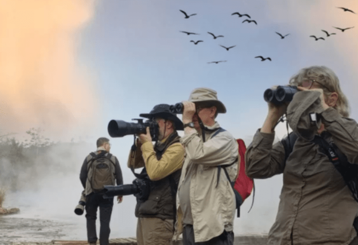 bird watching