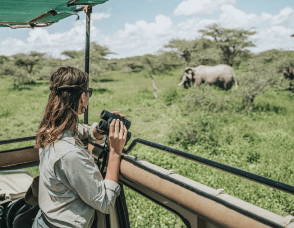Eco-Friendly Safari Adventures