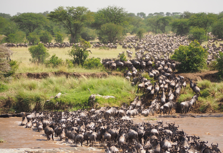 the great migration