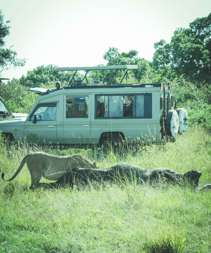 daylight-adventures-safaris-why-choose-us-1