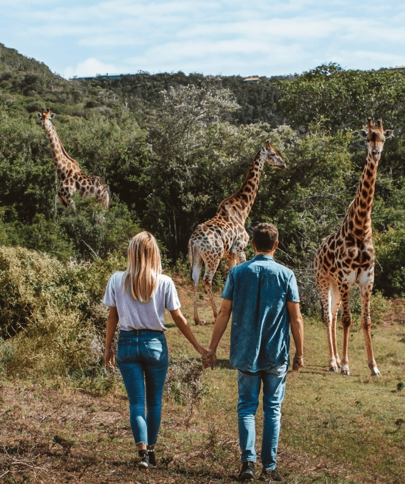 Honeymoon Safari-min