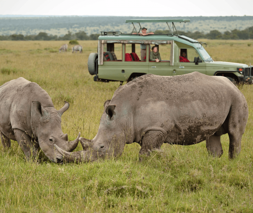 Ol Pejeta Conservancy-min