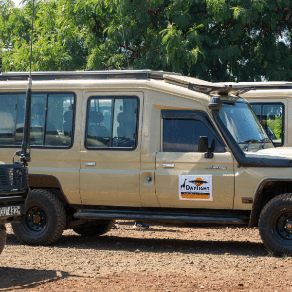 Safari jeep parked near wildlife on an eco-friendly safari in East Africa with Daylight Adventures-min