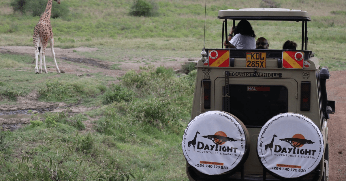 Tourists on game drive spotting girrafe during the best time for safari in Kenya-min