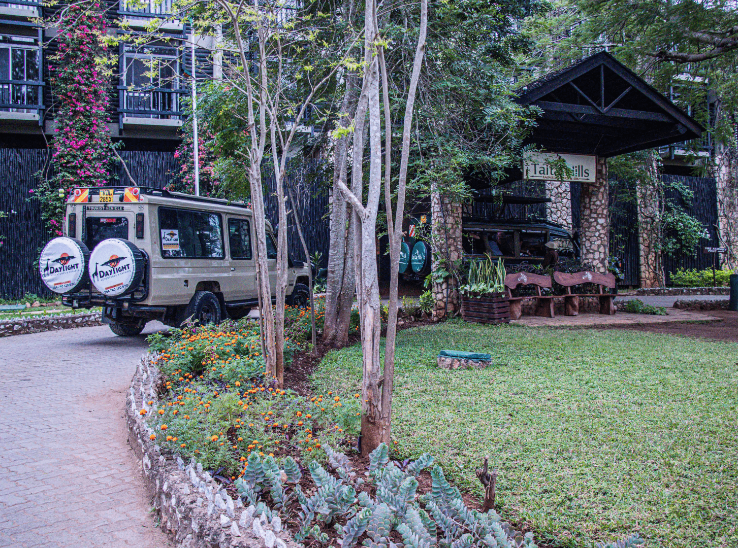 daylight-landcruiser-min