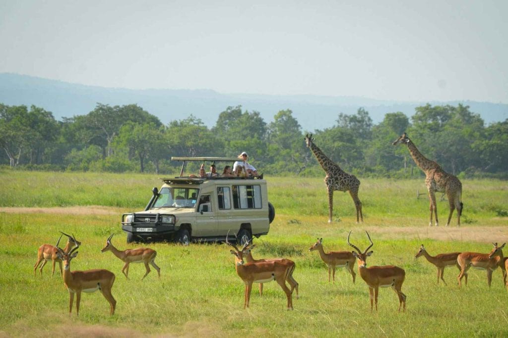mikumi-national-park-1-1024x683-1-min