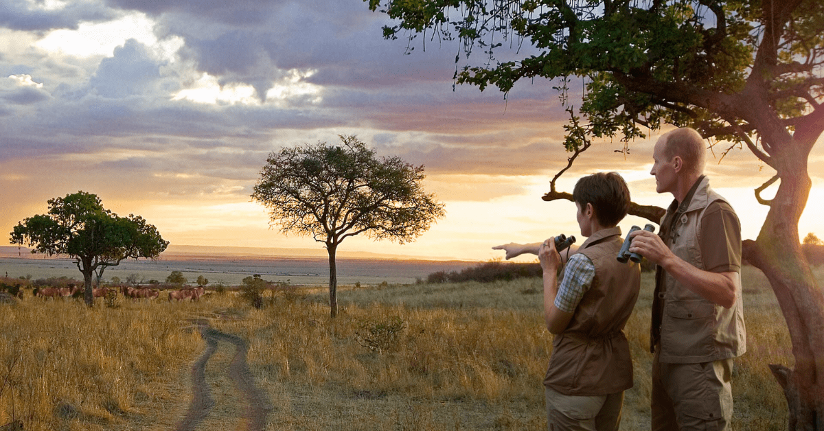 safari-binoculars