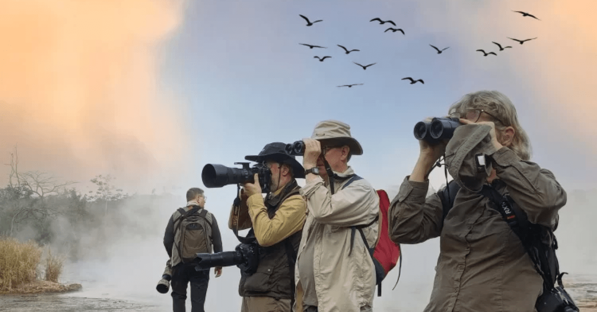Bird-Watching Safaris-min
