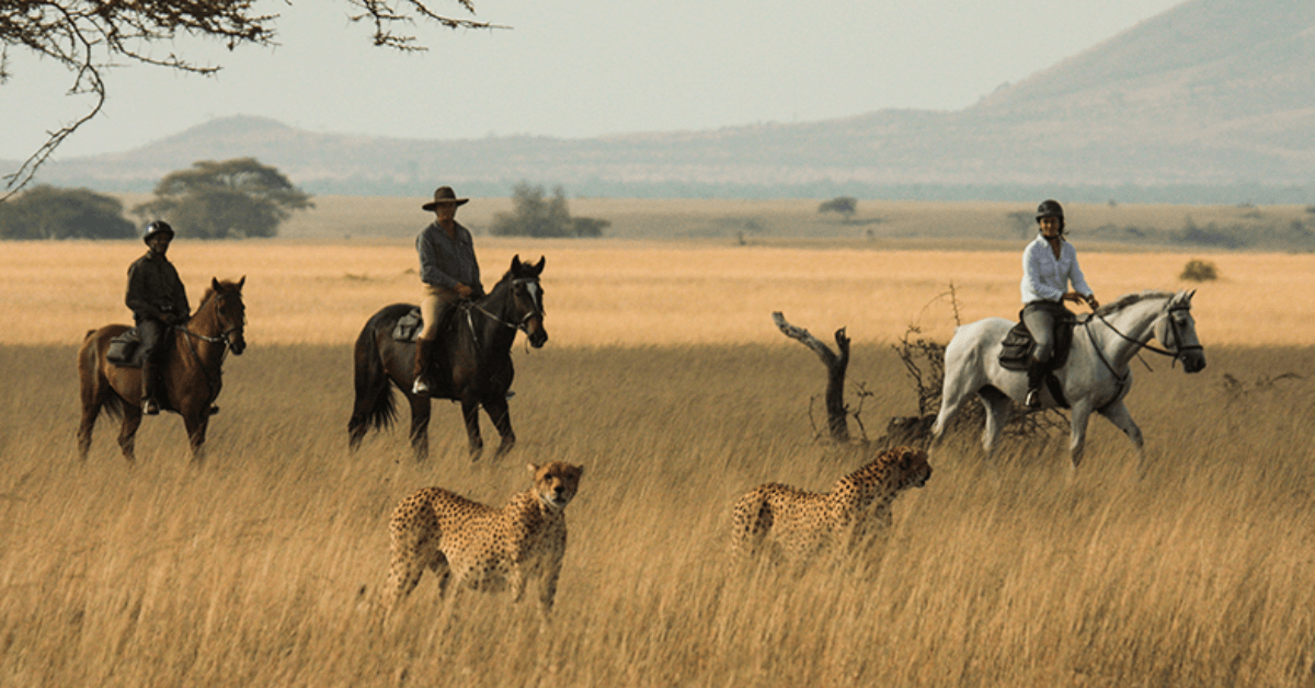 Horse Ride Safaris-min