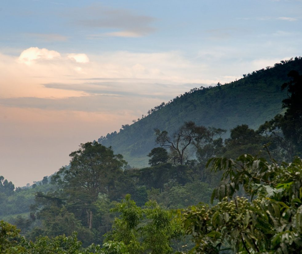 bwindi bwindi